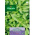 VILMORIN SEMILLAS ALBAHACA LEMON