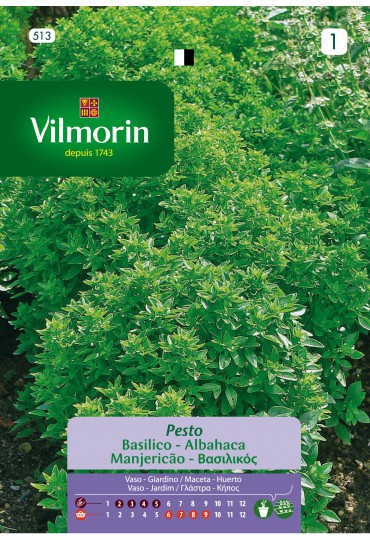 VILMORIN SEMILLAS ALBAHACA PESTO