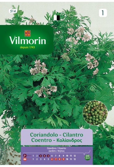 VILMORIN SEMILLAS CILANTRO