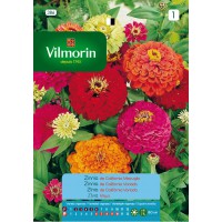 VILMORIN SEMILLAS ZINNIA GRANDE DE CALIFORNIA