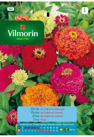 VILMORIN SEMILLAS ZINNIA GRANDE DE CALIFORNIA