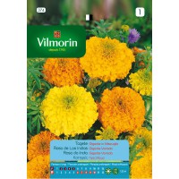 VILMORIN SEMILLAS ROSA LAS INDIAS GIGANTE