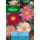 VILMORIN SEMILLAS PELITRE VARIADO