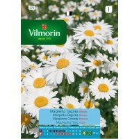 VILMORIN SEMILLAS MARGARITA GIGANTE BLANCA