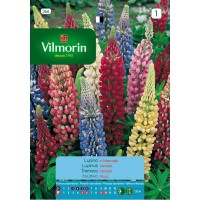 VILMORIN SEMILLAS LUPINUS RUSSELL VARIADA