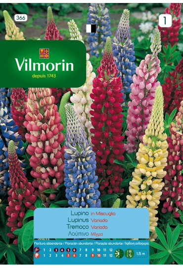 VILMORIN SEMILLAS LUPINUS RUSSELL VARIADA