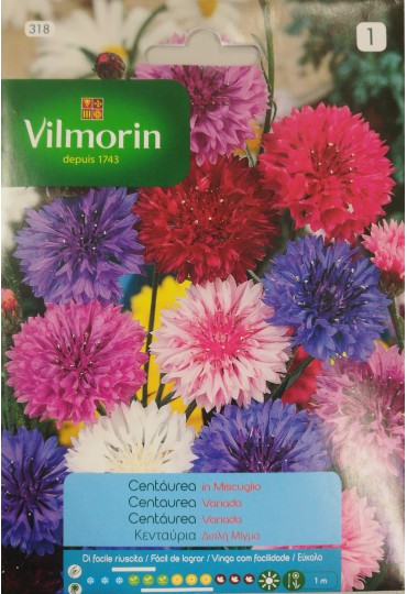 VILMORIN SEMILLAS CENTAUREA VARIADA