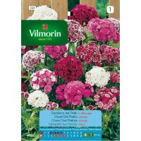 VILMORIN SEMILLAS CLAVEL DE POETA DOBLE VARIADO