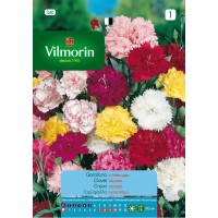 VILMORIN SEMILLAS CLAVEL ROSA
