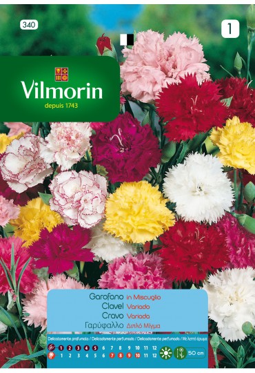 VILMORIN SEMILLAS CLAVEL ROSA