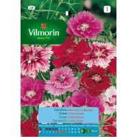 VILMORIN SEMILLAS CLAVEL CHINA DOBLE VARIADO
