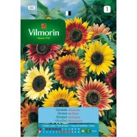 VILMORIN SEMILLAS GIRASOL GRANDE OTOÑO