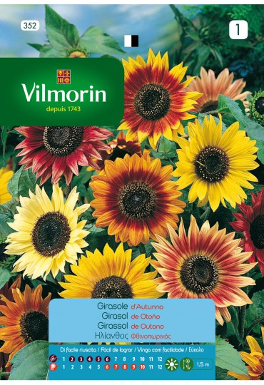 VILMORIN SEMILLAS GIRASOL GRANDE OTOÑO VILMORIN SEMILLAS GIRASOL GRANDE OTOÑO