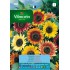 VILMORIN SEMILLAS GIRASOL GRANDE OTOÑO