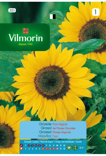 VILMORIN SEMILLAS GIRASOL DE FLORES GRANDES