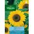 VILMORIN SEMILLAS GIRASOL DE FLORES GRANDES