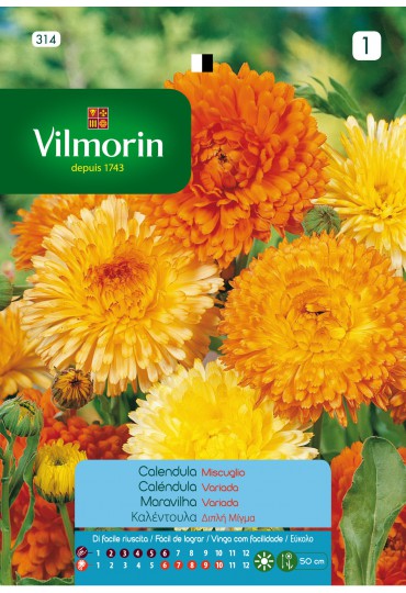 VILMORIN SEMILLAS CALENDULA VARIADA