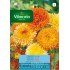 VILMORIN SEMILLAS CALENDULA VARIADA