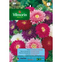 VILMORIN SEMILLAS REINA MARGARITA PRINCESA