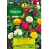 VILMORIN SEMILLAS ZINNIA ENANA DOBLE