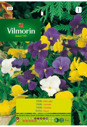 VILMORIN SEMILLAS VIOLA VARIADA