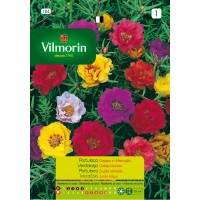 VILMORIN SEMILLAS VERDOLAGA DOBLE VARIADA