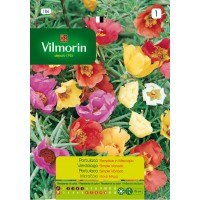 VILMORIN SEMILLAS VERDOLAGA SIMPLE VARIADA