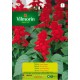 VILMORIN SEMILLAS SALVIA ENANA ROJA