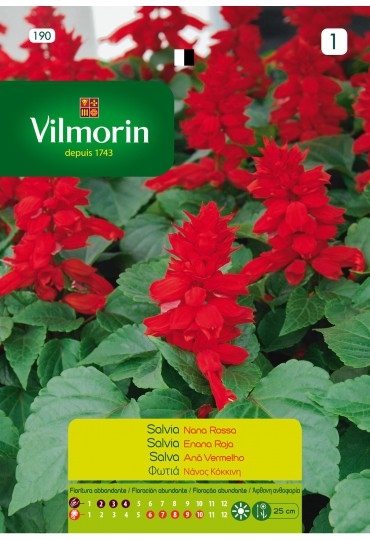 VILMORIN SEMILLAS SALVIA ENANA ROJA