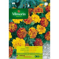 VILMORIN SEMILLAS CLAVELON INDIA BONITA