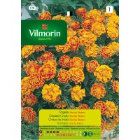 VILMORIN SEMILLAS CLAVELÓN INDIA BOLERO