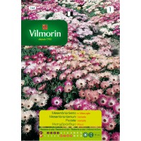 VILMORIN SEMILLAS MESEMBRIANTEMUM VARIADO