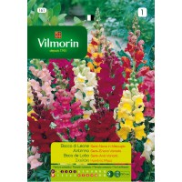 VILMORIN SEMILLAS ANTIRRINO MEDIO ENANO VARIADO