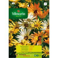 VILMORIN SEMILLAS DIMORPHOTECA VARIADA