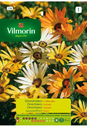 VILMORIN SEMILLAS DIMORPHOTECA VARIADA