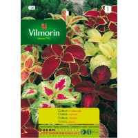 VILMORIN SEMILLAS COLEUS VARIADOS