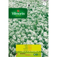 VILMORIN SEMILLAS ALISO CESTA PLATA