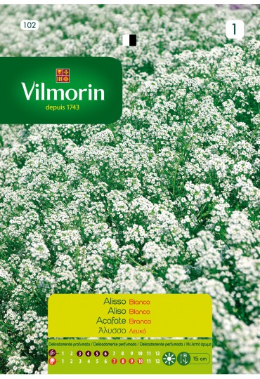 VILMORIN SEMILLAS ALISO CESTA PLATA