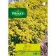 VILMORIN SEMILLAS ALISO AMARILLO