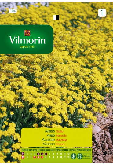 VILMORIN SEMILLAS ALISO AMARILLO