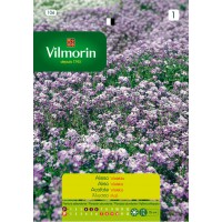 VILMORIN SEMILLAS ALISO VIOLETA