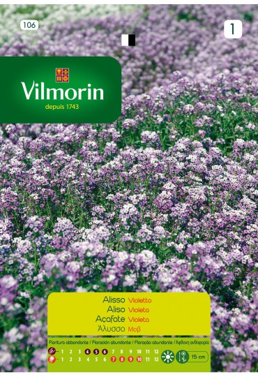 VILMORIN SEMILLAS ALISO VIOLETA