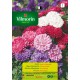 VILMORIN SEMILLAS REINA MARGARITA ENANA VARIADA