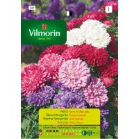VILMORIN SEMILLAS REINA MARGARITA ENANA VARIADA