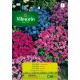 VILMORIN SEMILLAS AUBRIETA VARIADA