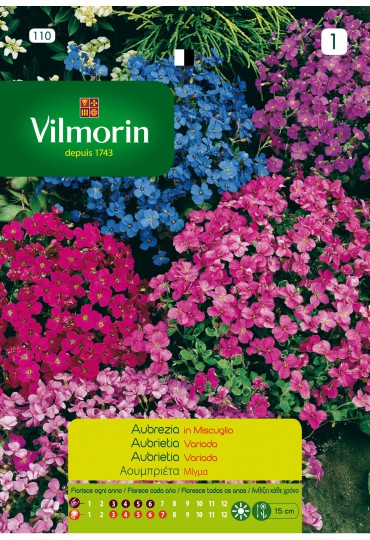 VILMORIN SEMILLAS AUBRIETA VARIADA