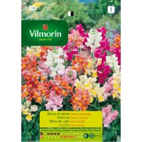 VILMORIN SEMILLAS ANTIRRINO ENANO VARIADO