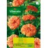 VILMORIN SEMILLAS CALENDULA NARANJA