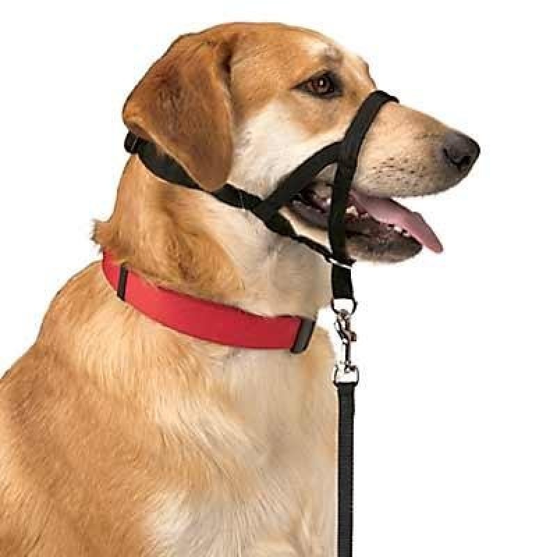 Bozal perros BOZAL 1*26-38-50 | Mundo Verde/Garden Center