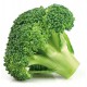 BROCOLI